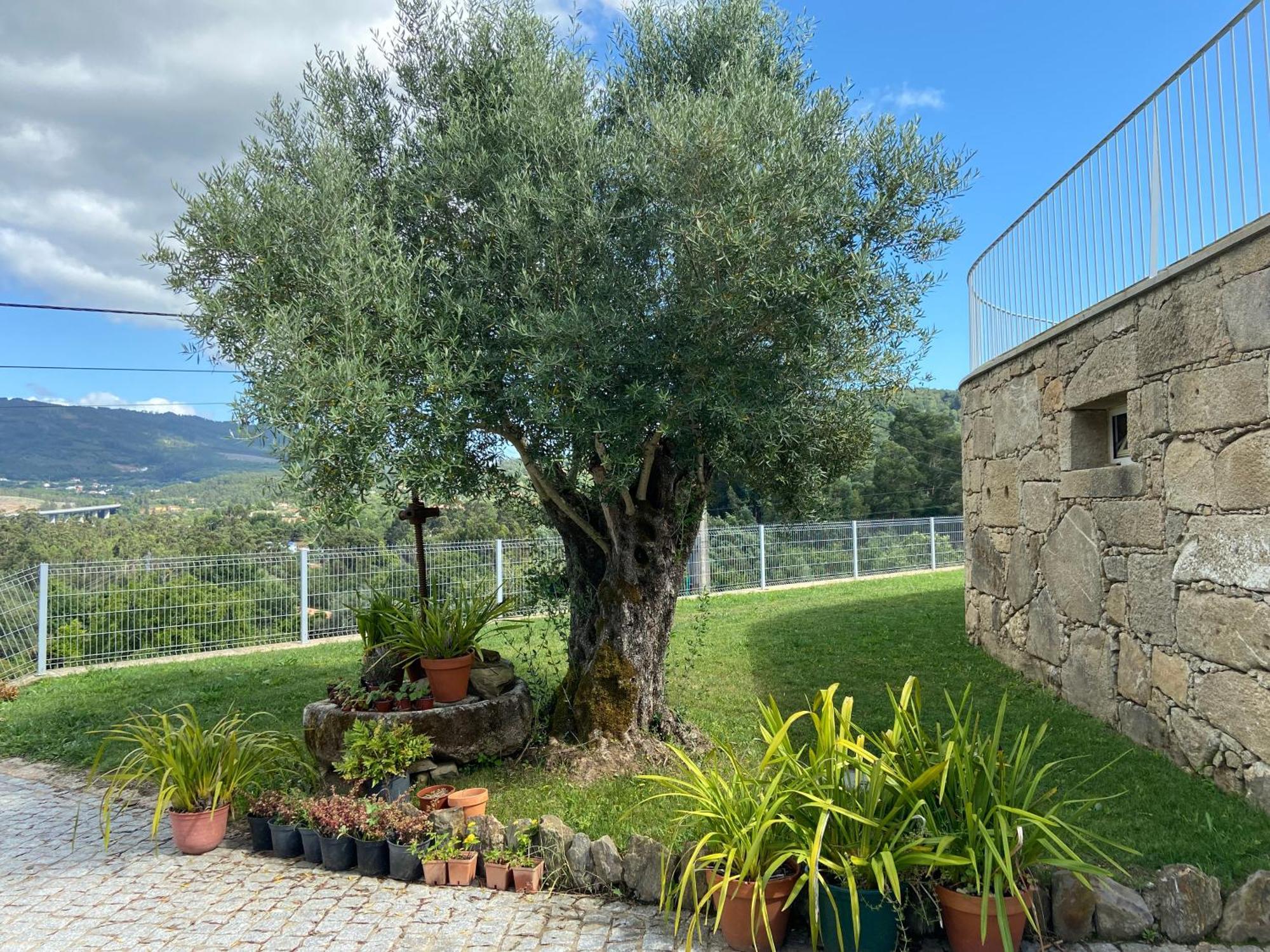 Casa Da Gandara Villa Ponte de Lima Buitenkant foto